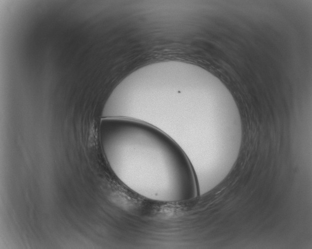 X0000083610420200702120728