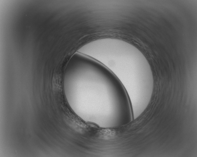 X0000083610421200702120728