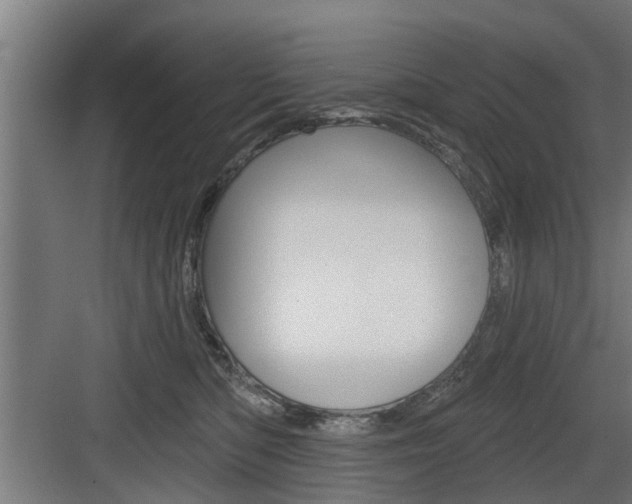 X0000083610422200702120728