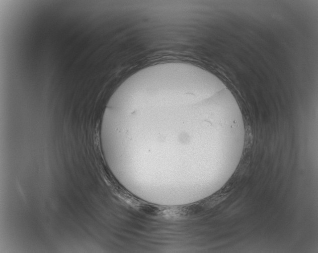 X0000083610423200702120728