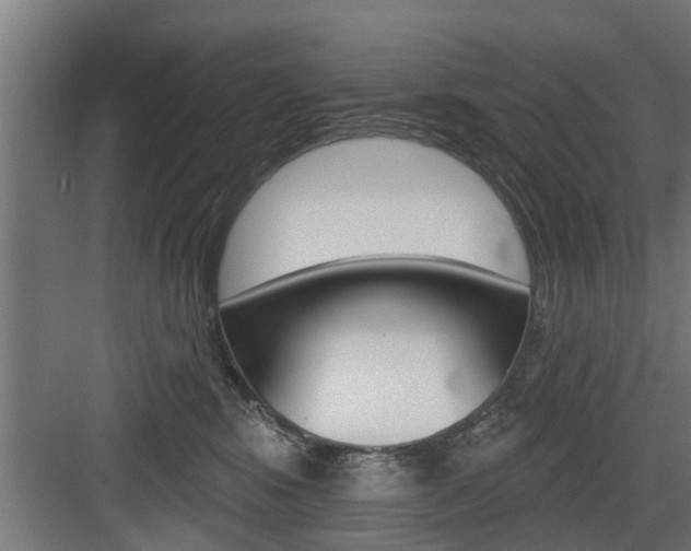 X0000083610424200702120728