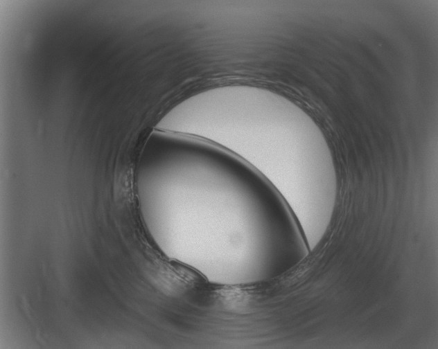 X0000083610425200702120728