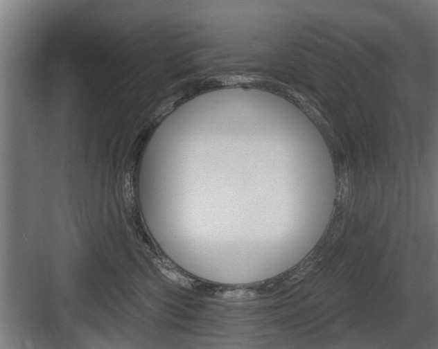 X0000083610426200702120728