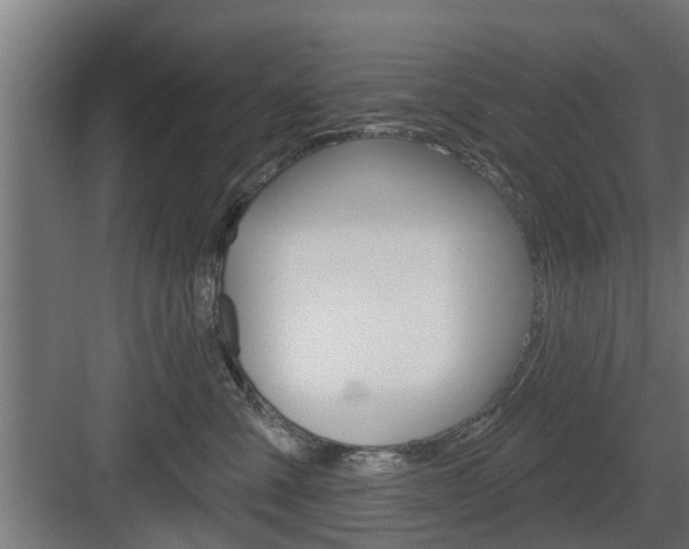 X0000083610427200702120728