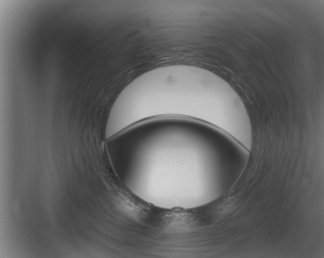 X0000083610428200702120728