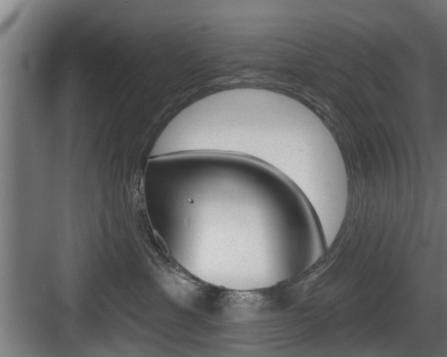 X0000083610429200702120728