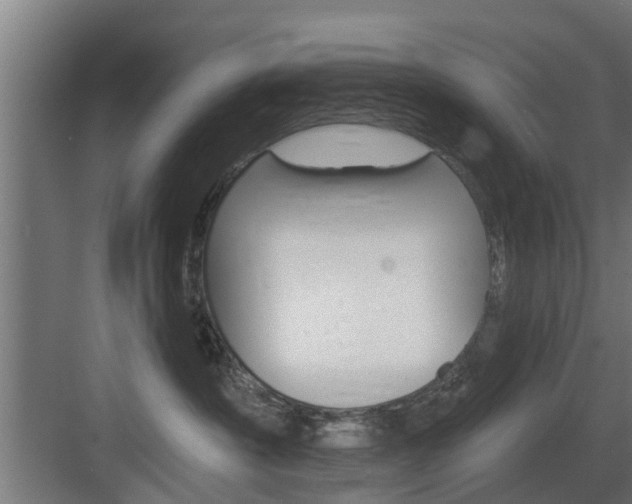 X0000083610430200702120728