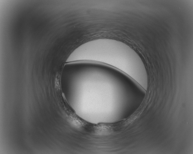 X0000083610432200702120728