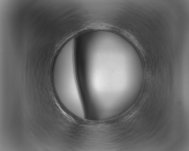 X0000083610433200702120727