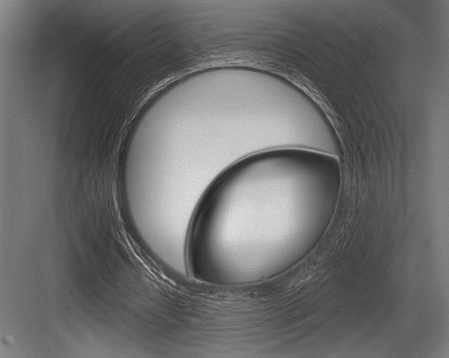 X0000083610434200702120727