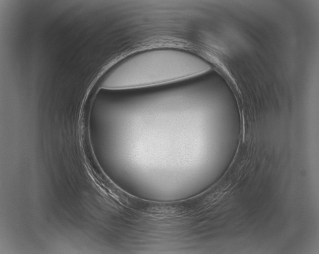 X0000083610435200702120727