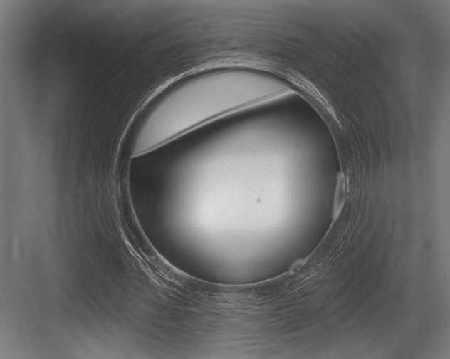 X0000083610436200702120728