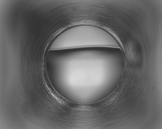 X0000083610437200702120728