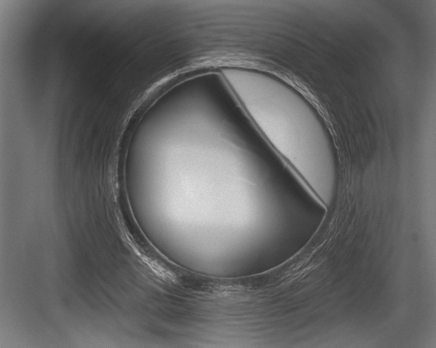 X0000083610438200702120728