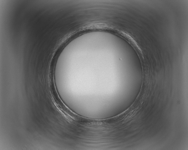 X0000083610439200702120728