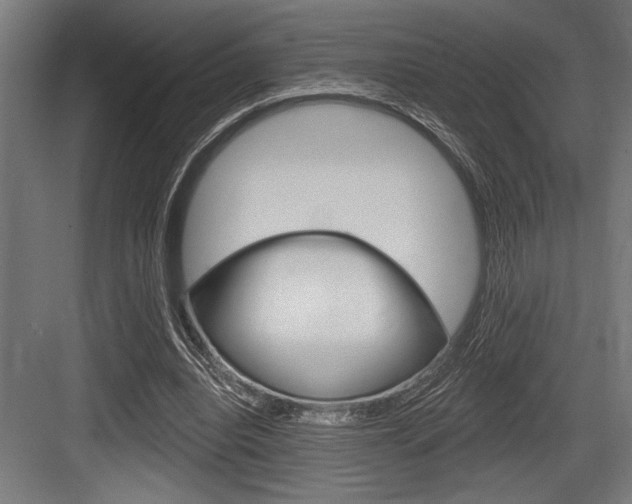 X0000083610440200702120728