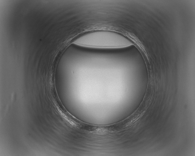 X0000083610441200702120728