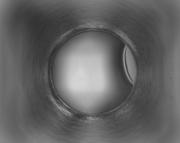 X0000083610442200702120728