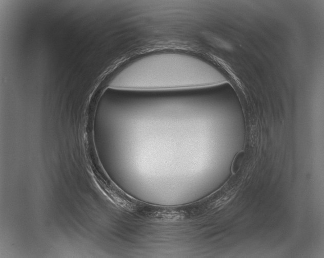 X0000083610443200702120728