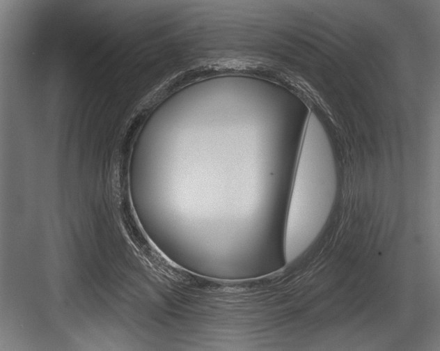 X0000083610444200702120728