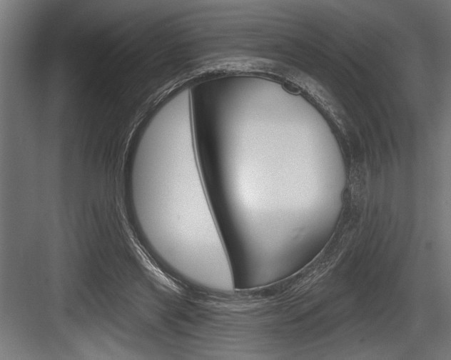 X0000083610445200702120728