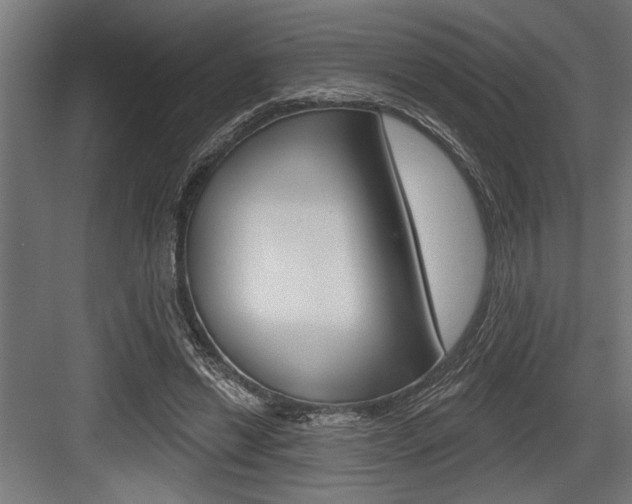 X0000083610446200702120728