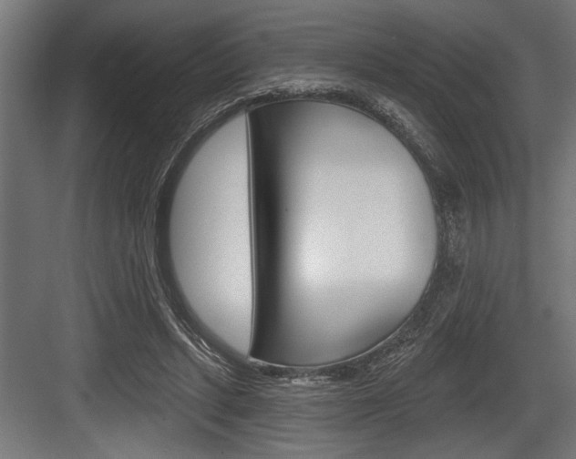 X0000083610447200702120728