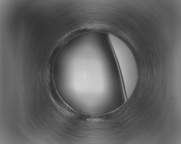 X0000083610448200702120728