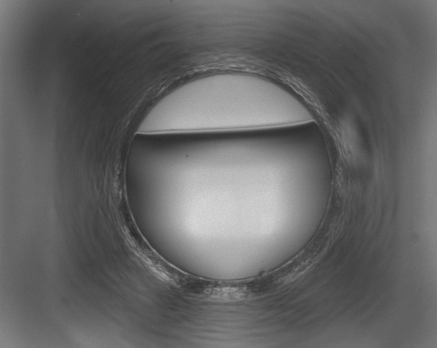 X0000083610449200702120728