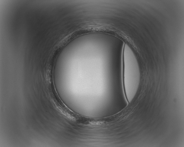 X0000083610450200702120728