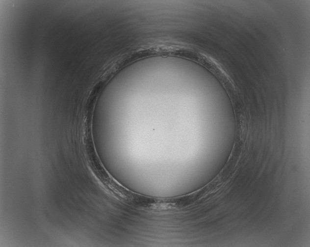 X0000083610451200702120728