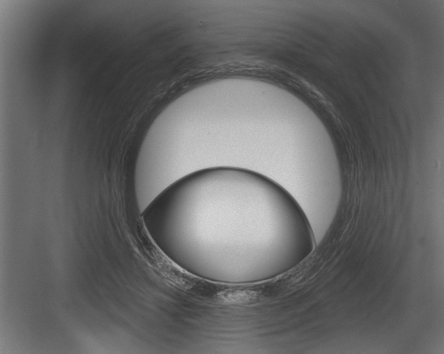 X0000083610452200702120728