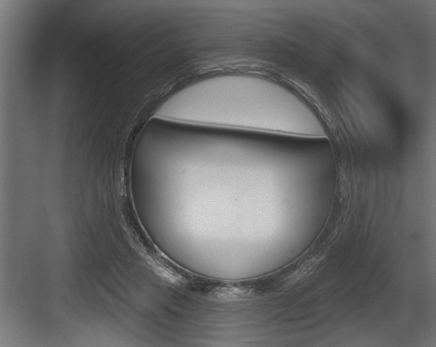 X0000083610453200702120728