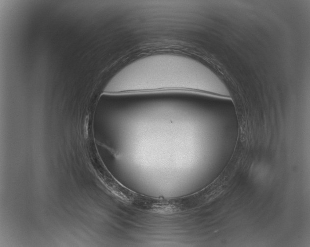 X0000083610454200702120728