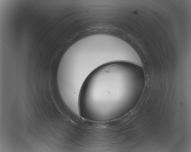 X0000083610456200702120728