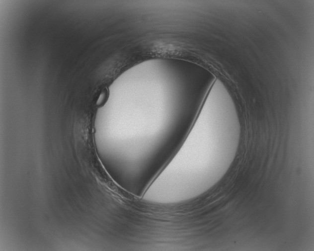 X0000083610458200702120728