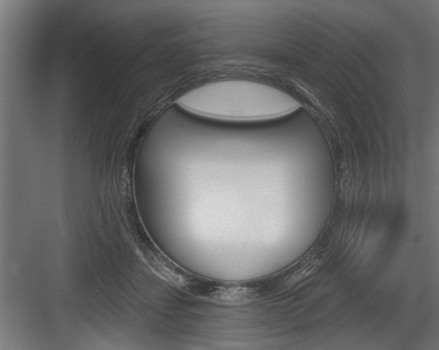 X0000083610459200702120728