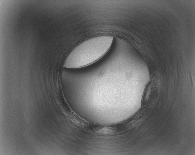 X0000083610460200702120728