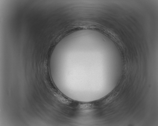 X0000083610461200702120728