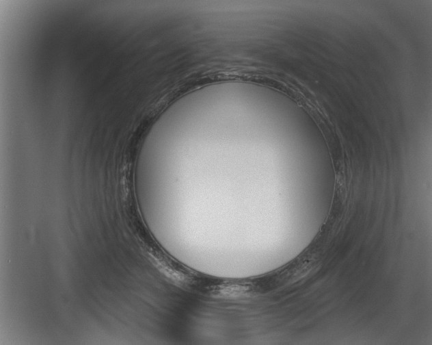 X0000083610462200702120728