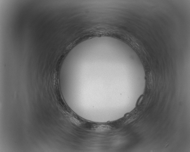 X0000083610463200702120728