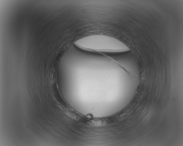 X0000083610464200702120728