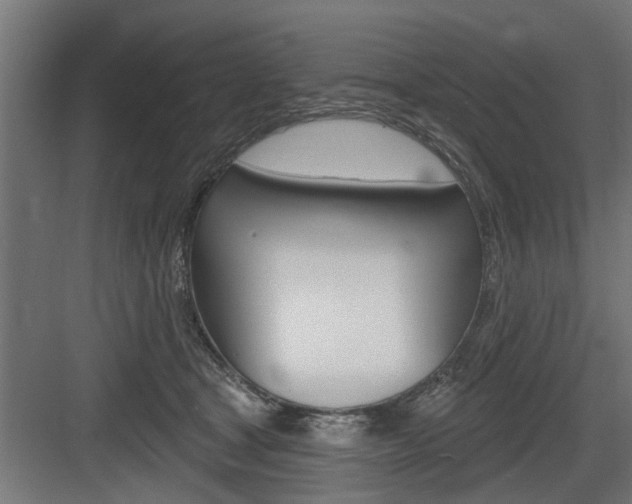 X0000083610465200702120728