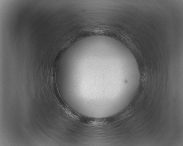 X0000083610466200702120728