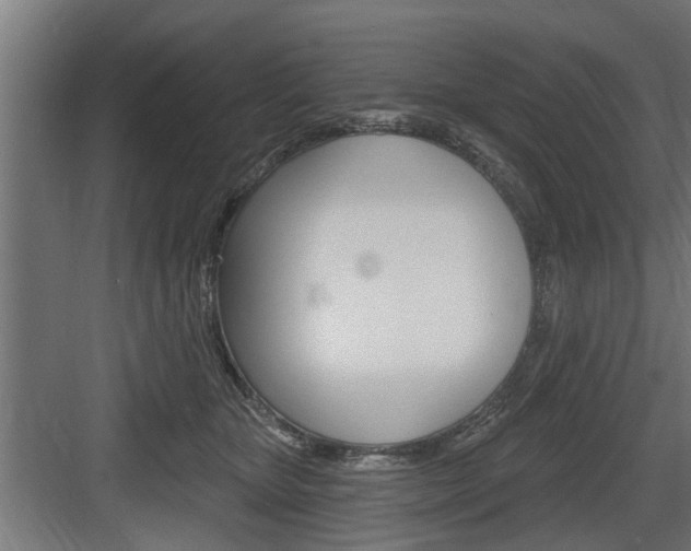 X0000083610467200702120728