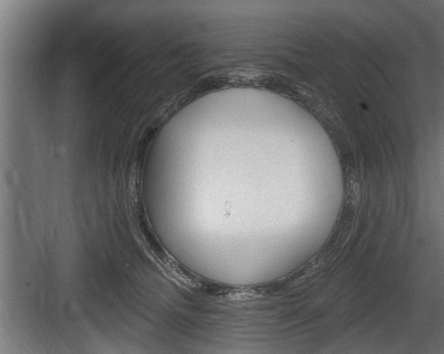 X0000083610468200702120728