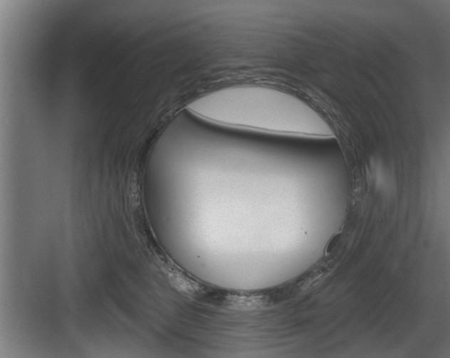 X0000083610469200702120728