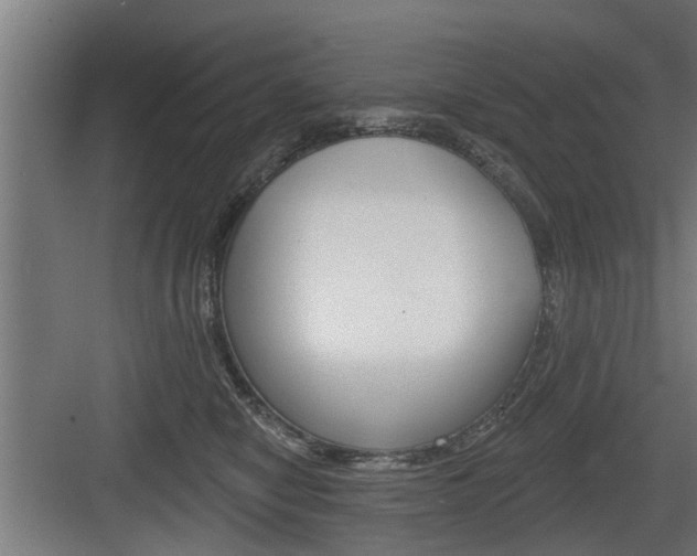 X0000083610470200702120728