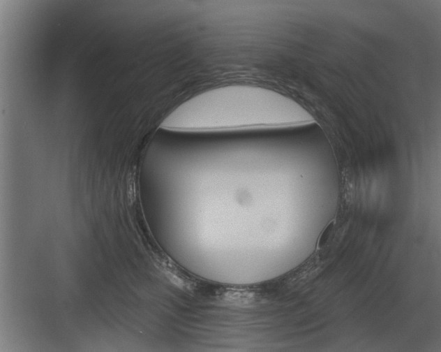 X0000083610471200702120728