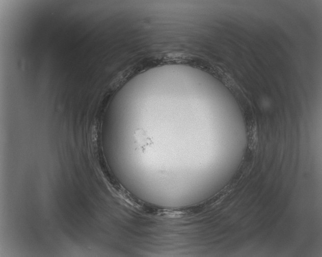 X0000083610472200702120728